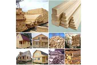 Лесовичок42