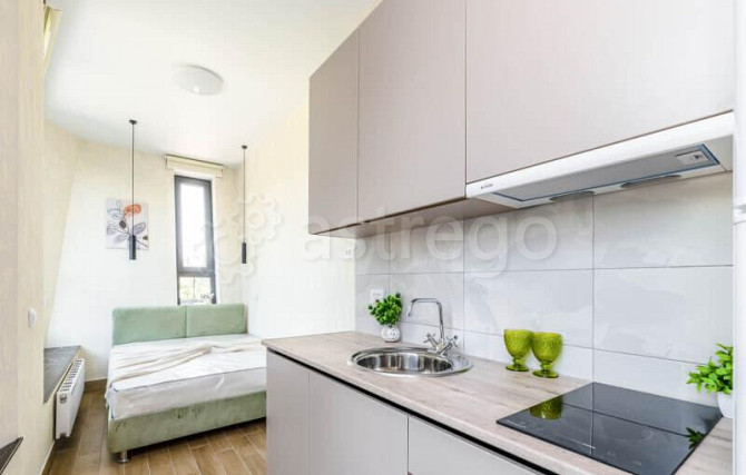 1-комн. квартира, 17 м2, 2/24 эт. Москва - изображение 3