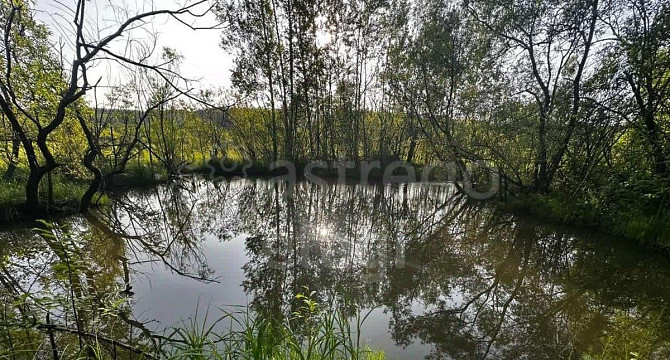 Земельный участок, 10 соток Благовещенск - изображение 7