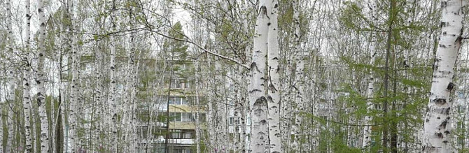 4-комн. квартира, 74.6 м2, 5/5 эт. Зея - изображение 1