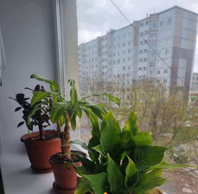 Комната, 9.4 м2, 4/5 эт. Архангельск - изображение 7