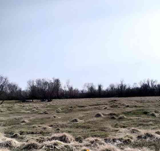 Земельный участок, 2.4 га Архангельск