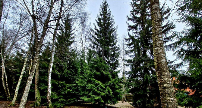 Земельный участок, 13.9 сотки Москва - изображение 4
