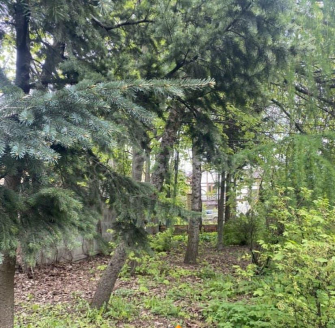 Земельный участок, 9.85 сотки Москва - изображение 6