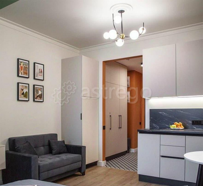 Студия, 25 м2, 24/30 эт. Москва - изображение 5