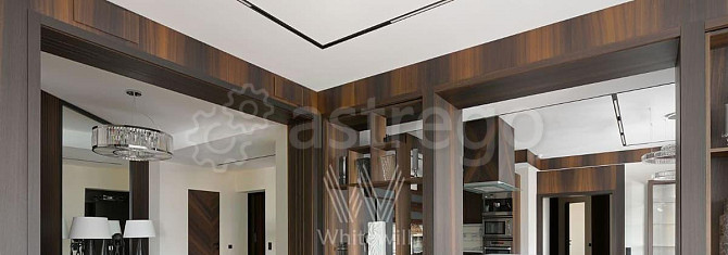 4-комн. квартира, 270 м2, 3/8 эт. Москва - изображение 3