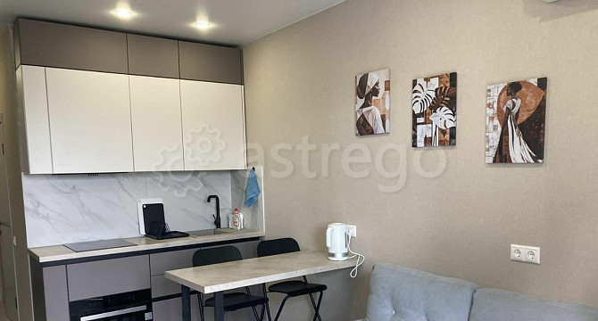 Студия, 29 м2, 8/24 эт. Москва - изображение 3