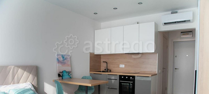 Студия, 20 м2, 17/23 эт. Москва - изображение 5