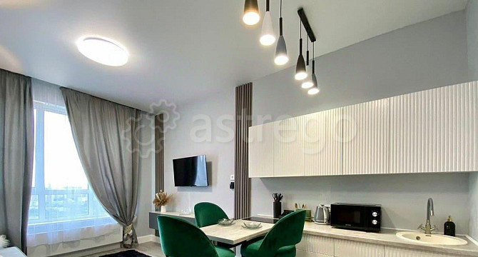 Студия, 25 м2, 33/41 эт. Москва - изображение 7