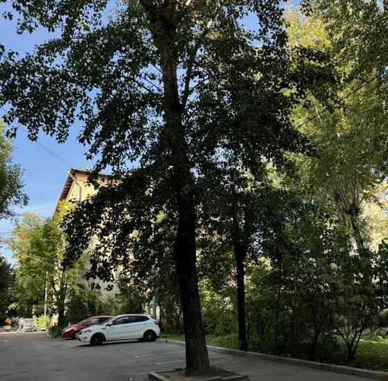 1-комн. квартира, 35 м2, 4/4 эт. Москва