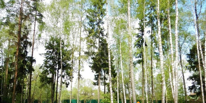 Дом, 100 м2, 10 соток, 2 эт. Москва - изображение 7