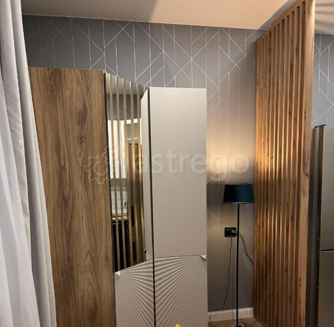 Студия, 26 м2, 1/5 эт. Москва - изображение 5