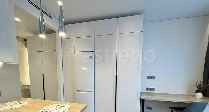 Студия, 27 м2, 10/24 эт. Москва - изображение 7