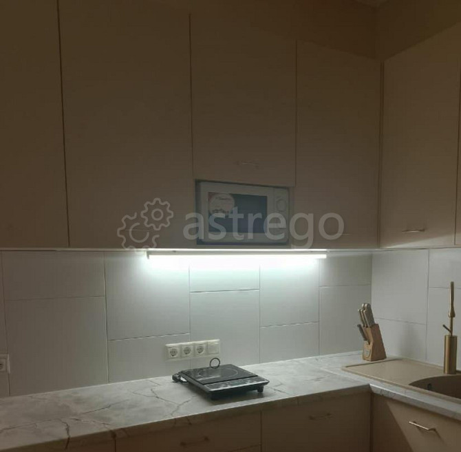 Студия, 20 м2, 1/7 эт. Москва - изображение 4