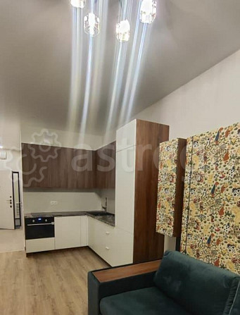 Студия, 26 м2, 29/52 эт. Москва - изображение 5