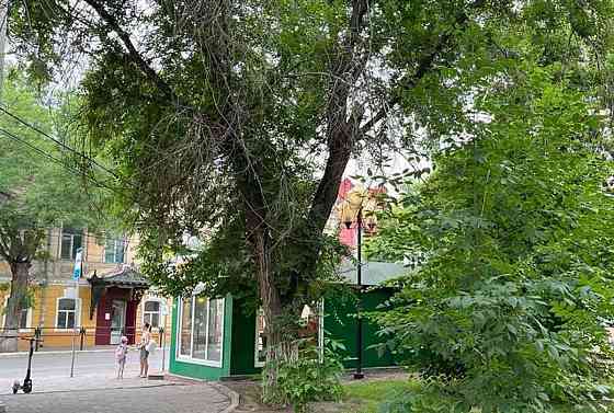 Торговое помещение, 38 м2 Астрахань
