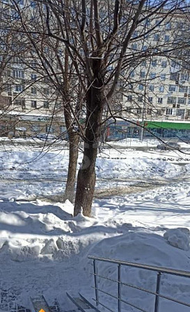Торговое помещение, 12 м2 Уфа - изображение 6